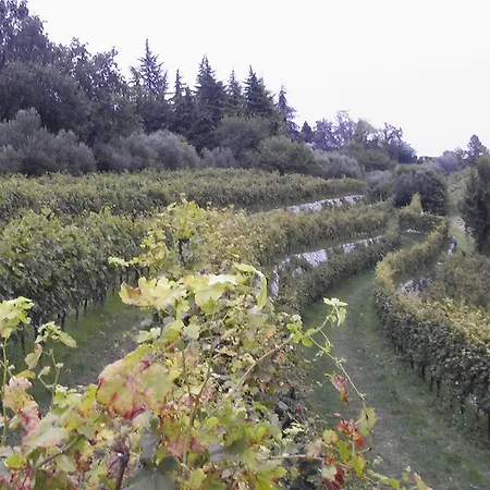 Al Cristo 4* SantʼAmbrogio di Valpolicella